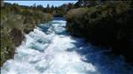 Waikato river